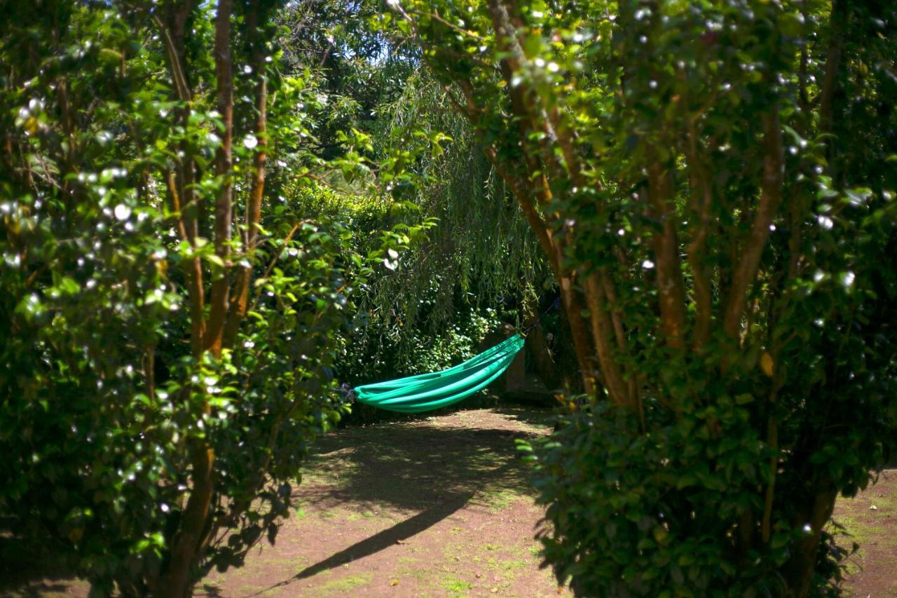 Villa Varzea - Garden Suite Exteriör bild